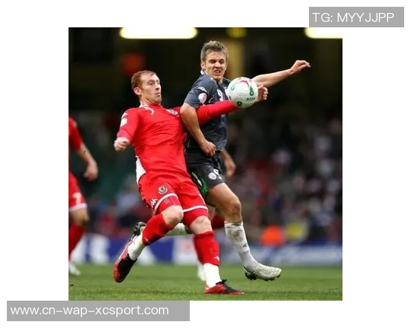 英格兰与爱尔兰激战即将上演球迷期待精彩对决与历史重温